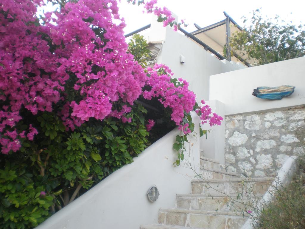 Ferienwohnung Assos Caldera Asos Exterior foto